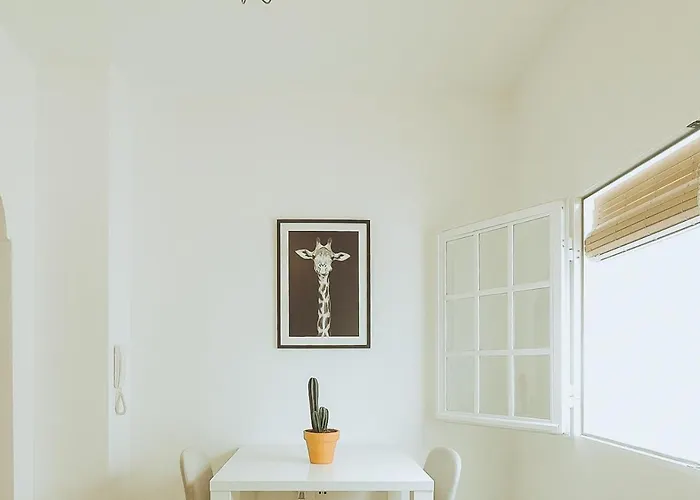 En El Centro Tiendas Ronda